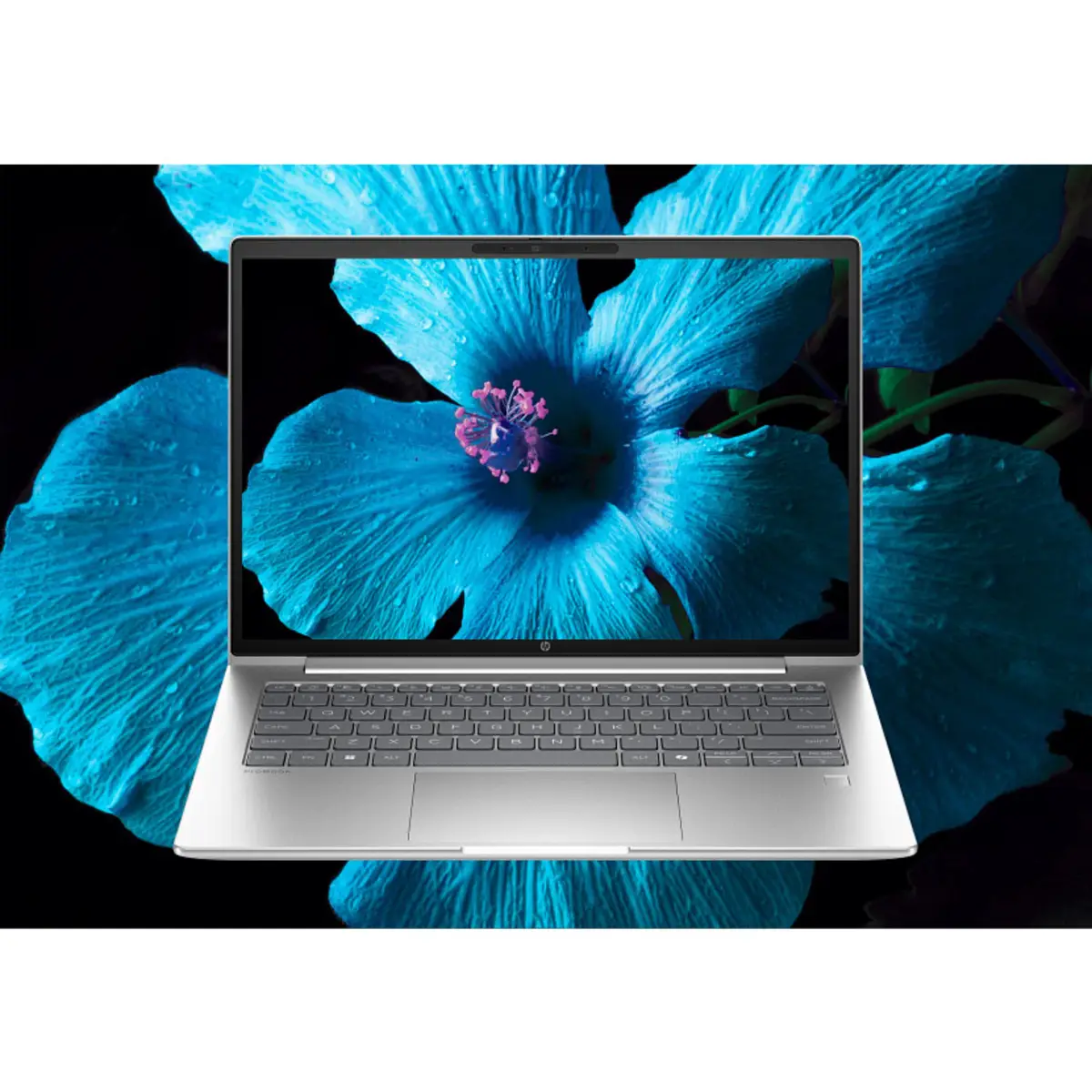 ProBook 4 G1i 14 inch Notebook AI PC, 14", Windows 11 Pro, Intel Core™ Ultra 7, 24GB RAM, 512GB SSD, WUXGA