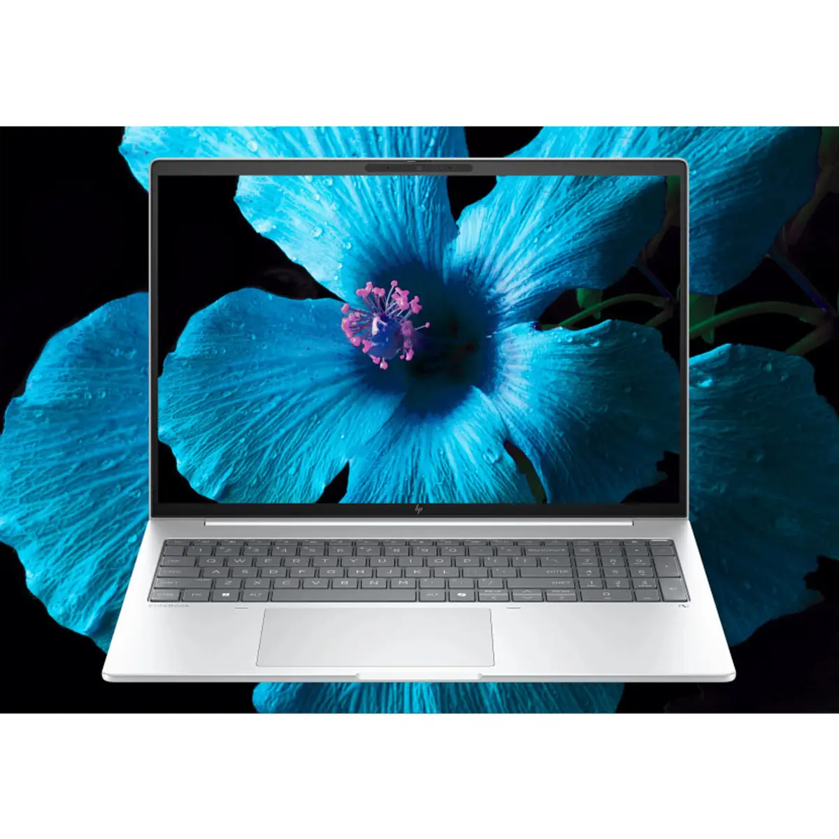 EliteBook 8 G1a 16 inch Notebook PC, 16", Windows 11 Pro, AMD Ryzen™ AI 5, 16GB RAM, 512GB SSD, WUXGA