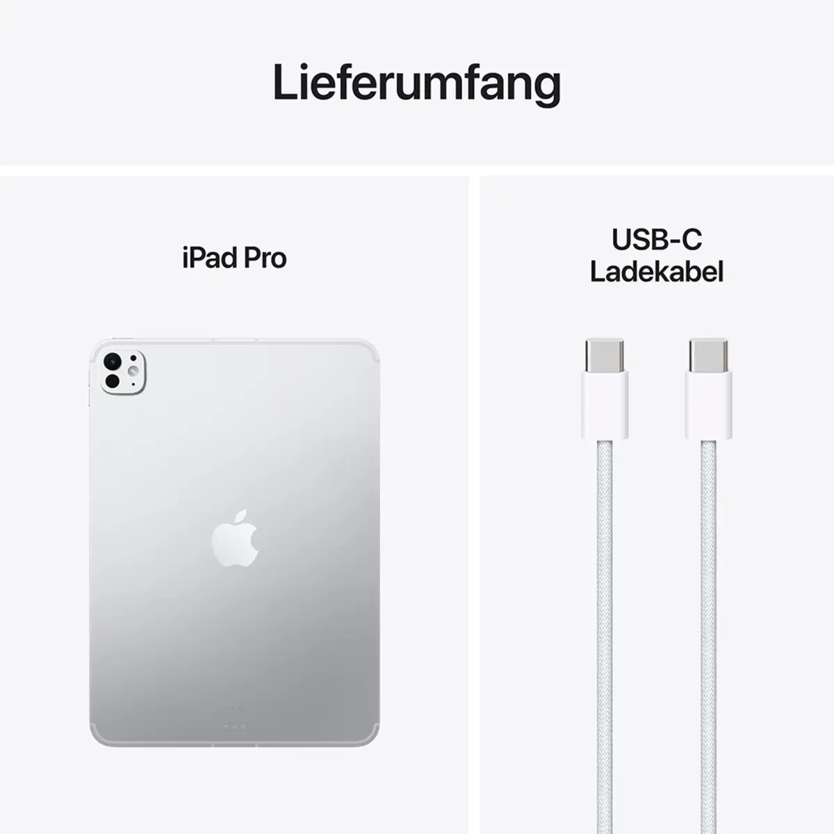 Apple iPad Pro 11" 2TB Standardglas Wi-Fi + Cellular silber