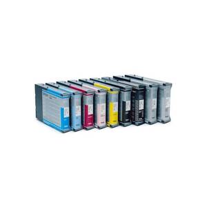 Ink Cartridge C13T602100 photo black