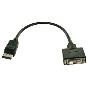 adaptor DisplayPort/DVI-D (Dual Link) plug/socket