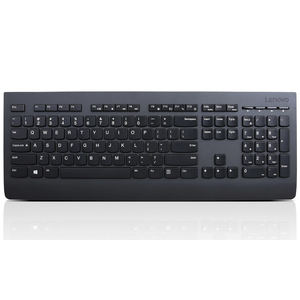 Professional Wireless Keyboard Schwarz Layout deutsch