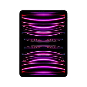 iPad Pro (2022) 12,9" 1TB WiFi+Cellular space grau iPad Pro (2022) 12,9" 1TB WiFi+Cellular space grau