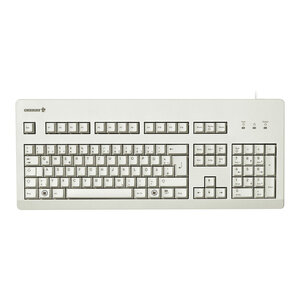 G80-3000 Tastatur PS/2/USB hellgrau Layout US mit EURO Symbol
